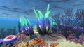 Writhing Weed in Safe Shallows