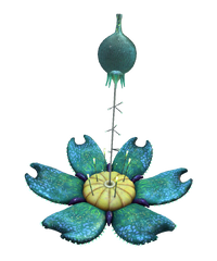 Oxygen Plant Flora.png