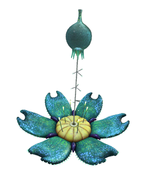 Oxygen Plant Flora.png