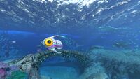 An Arctic Peeper in the Shallow Twisty Bridges