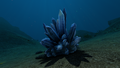Thumbnail for version as of 20:01, 25 March 2021