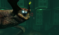 Thumbnail for version as of 23:09, 10 May 2017