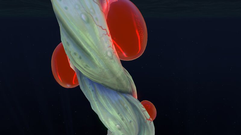 File:Blood Oil (5).jpg