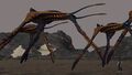 Sea Treader Size Comparison with the Player