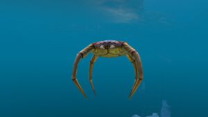 Cave Crawler (5).jpg