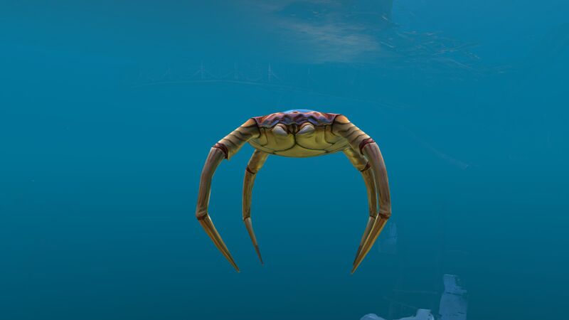 File:Cave Crawler (5).jpg