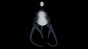 Cute Fish Front Bioluminescence.png