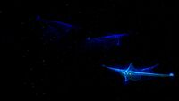 A group of Ghost Leviathans in the Void