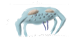 Ghost Crawler (Idea was from: A Wikia contributor)