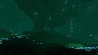 The passage to the Blood Kelp Trench