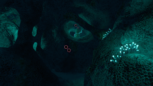 MushroomCaveTreeInterior.png