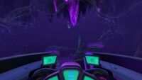 Sonar usage in Jelly Shroom Caves