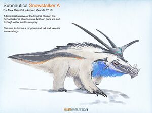 Snowstalker A.jpg