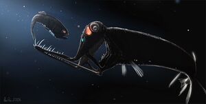 Stoplight loosejaw by abiogenisis.jpg