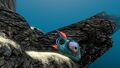 Spadefish and Lithium in Grand Reef