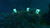 An Architect Fish Trap, located in a cave.