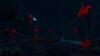 Ditto, at night