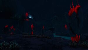 Basin SinewTrees Night.jpg