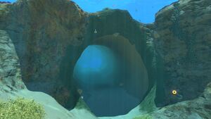 CoralTube1.jpg