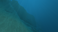 The border between the shallower and deeper areas