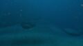 Huge boulders located on the seabed