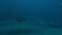 Huge boulders located on the seabed