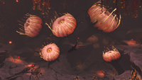 Overview of the biome's lower chamber