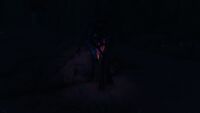 Fevered Pepper Tree