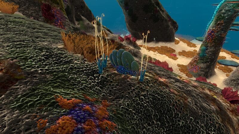 File:BlueCoralTubes02.jpg