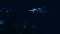 Thumbnail for version as of 12:17, 12 July 2017