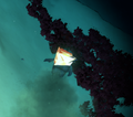 Thumbnail for version as of 21:25, 29 March 2016