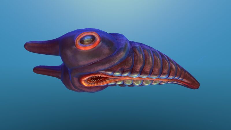File:Lava Larva 10.jpg
