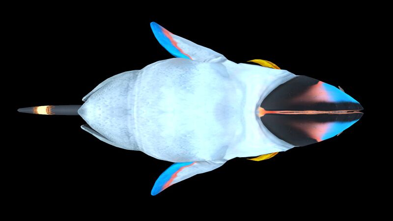 File:Pengling 2.jpg
