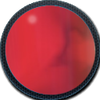 Reefback DNA Sample.png