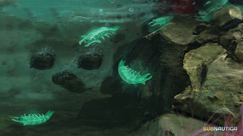 File:Rockgrub concept art.jpg