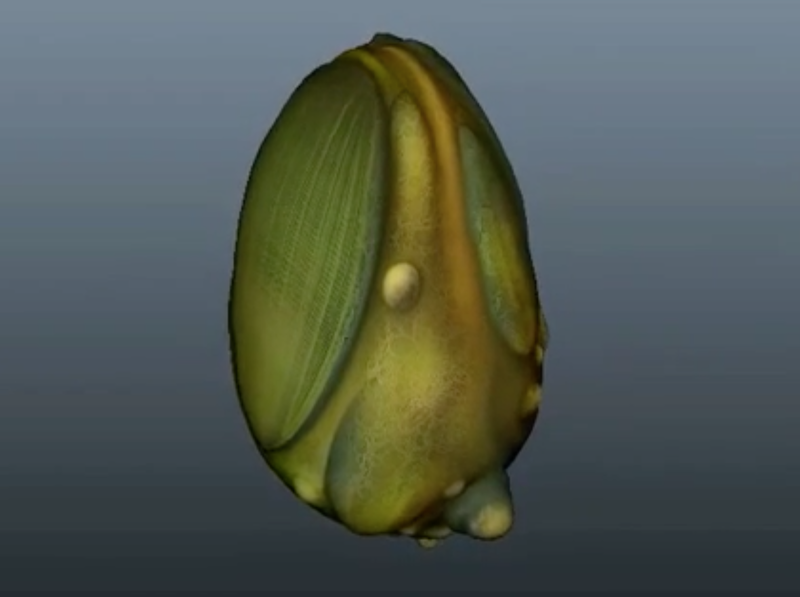 File:Subnautica egg3.png