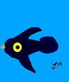 A Peeper