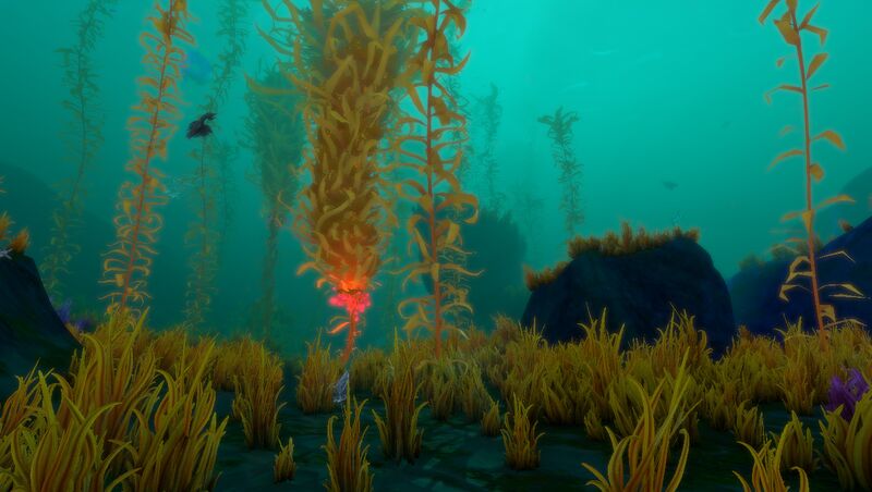 File:ArcticKelpForest 3.jpg