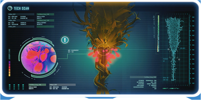 Arctic Kelp Ency.png