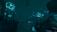 Several Jellyrays swimming in the Deep Grand Reef