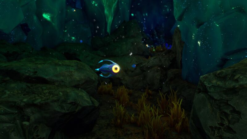 File:GB UIC 3 (Arctic Peeper).jpg