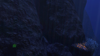 One of the entrances to the Grand Reef Caves