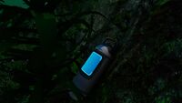 A Time Capsule in the Kelp Forest