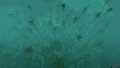 Thumbnail for version as of 02:07, 13 April 2015