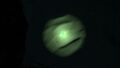 Thumbnail for version as of 02:33, 7 August 2021
