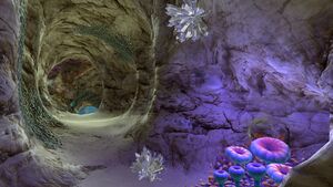 Safe Shallows (16).jpg