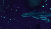 A Squidshark attacking the player