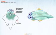 "Triops" by Alex Ries