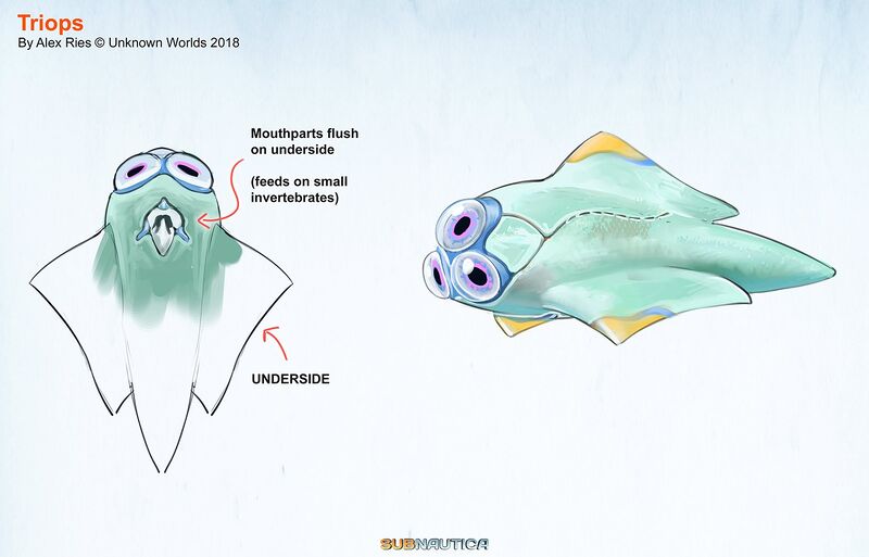 File:TriopsConcept.jpg