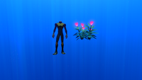 Size comparison with the player